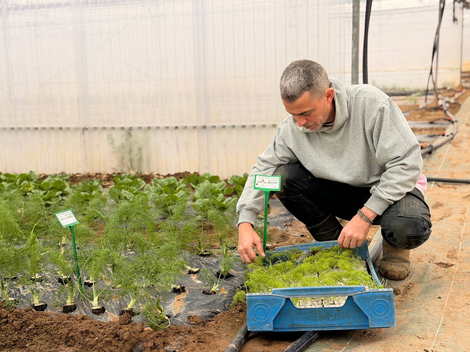 Florent dans ses jardins